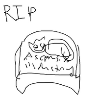 ASCENDED BUNNY TRUCKER HAT